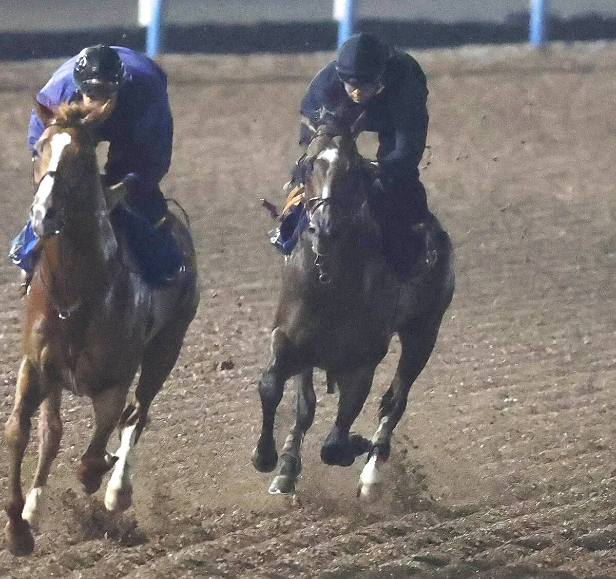 シックスペンス、仏ジャックルマロワ賞へ最終追い切り！田中師「躍動感ある動き」