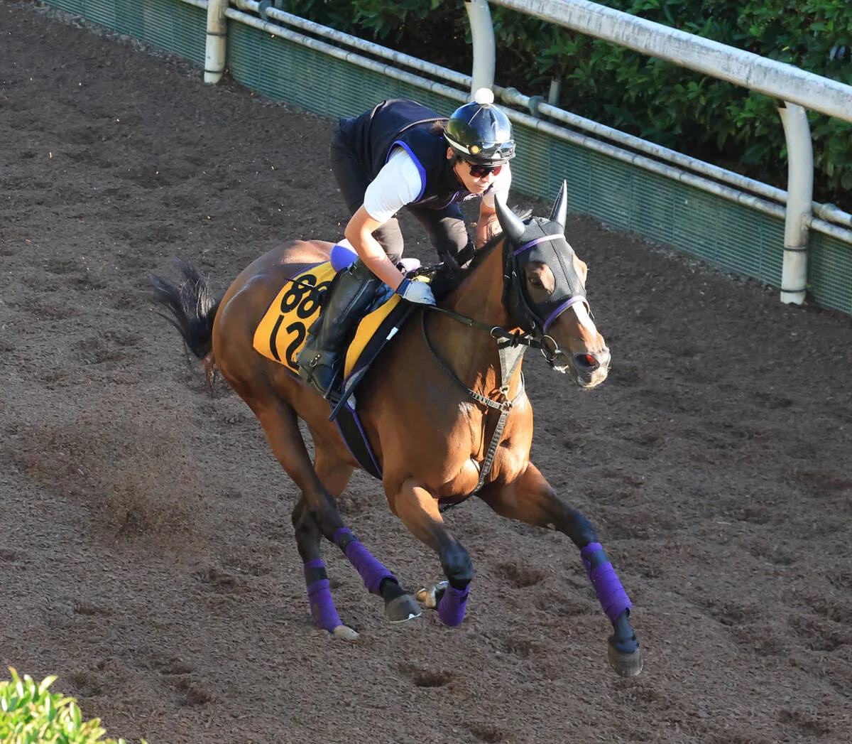 牝馬ジェニファーが永島まなみ騎手とタッグ！CBC賞で重賞初制覇へ