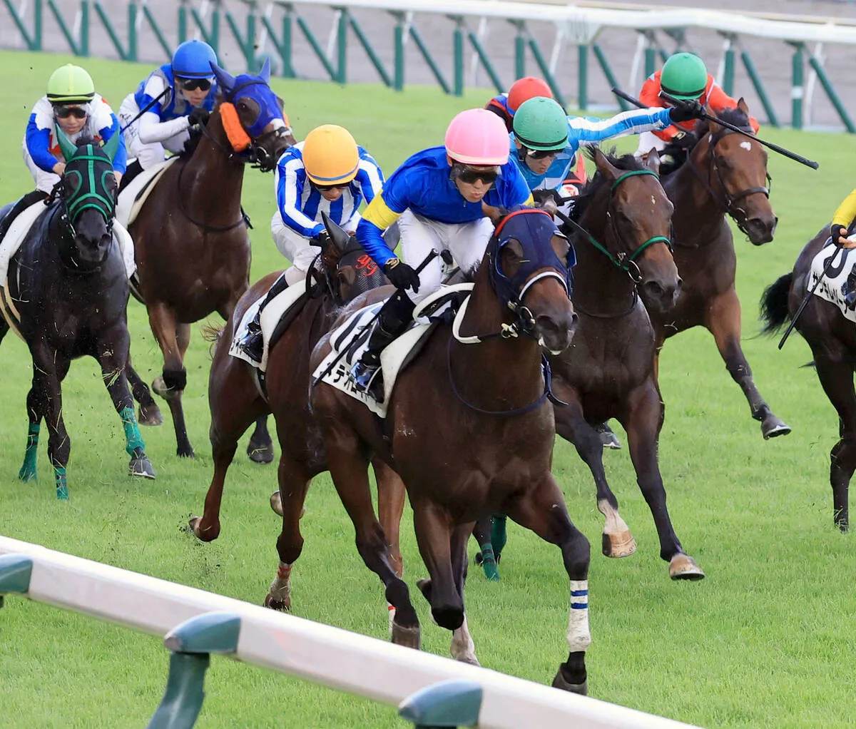8並びの奇跡！佐賀競馬8Rで8番人気メイショウルビーが激走V