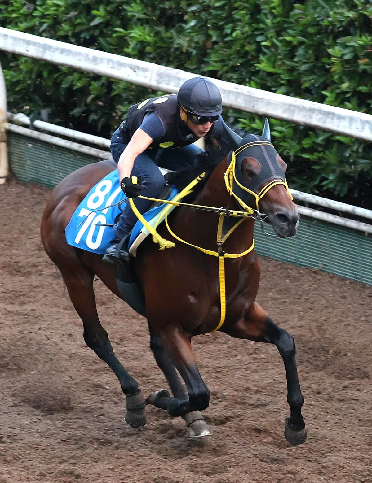【アイビスSD】14番人気ロードトレイルが激走！3連単46万超の大波乱