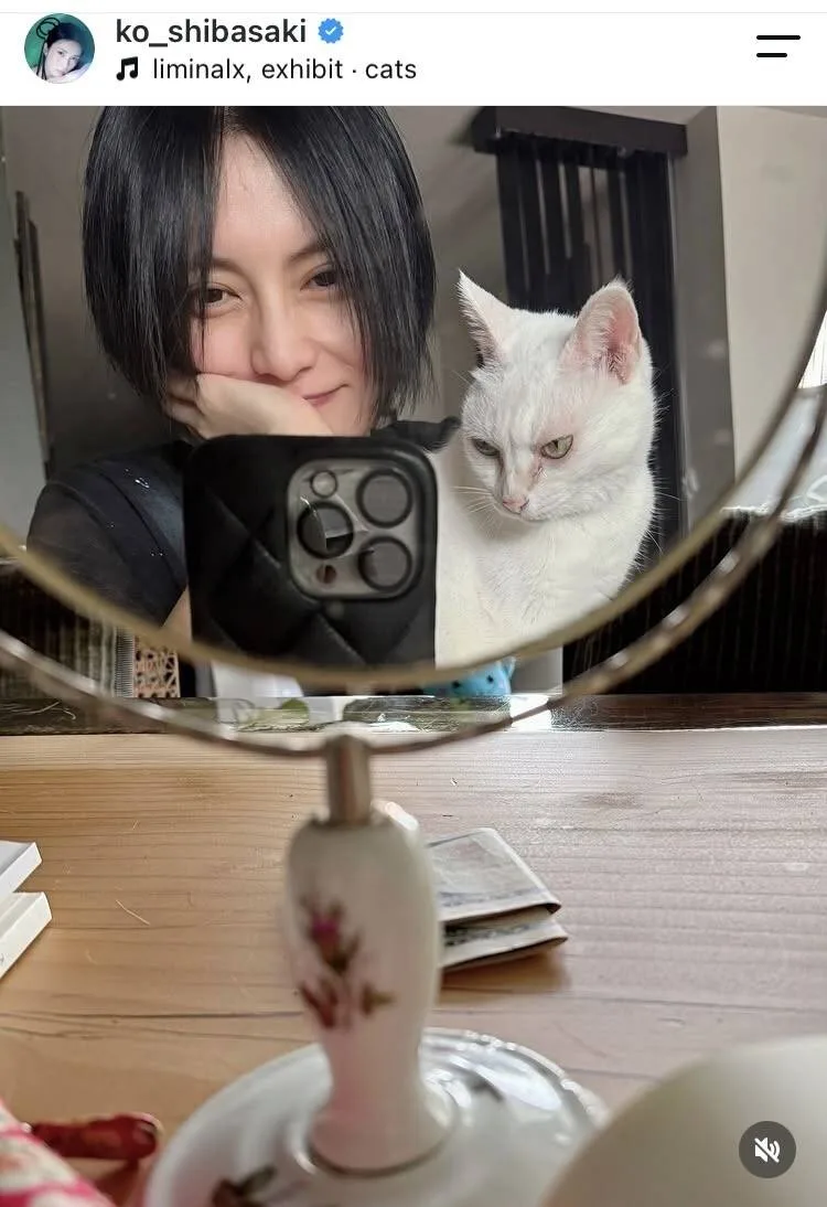 柴咲コウ、愛猫・のえるとの別れを報告「そばにいてくれてありがとう」