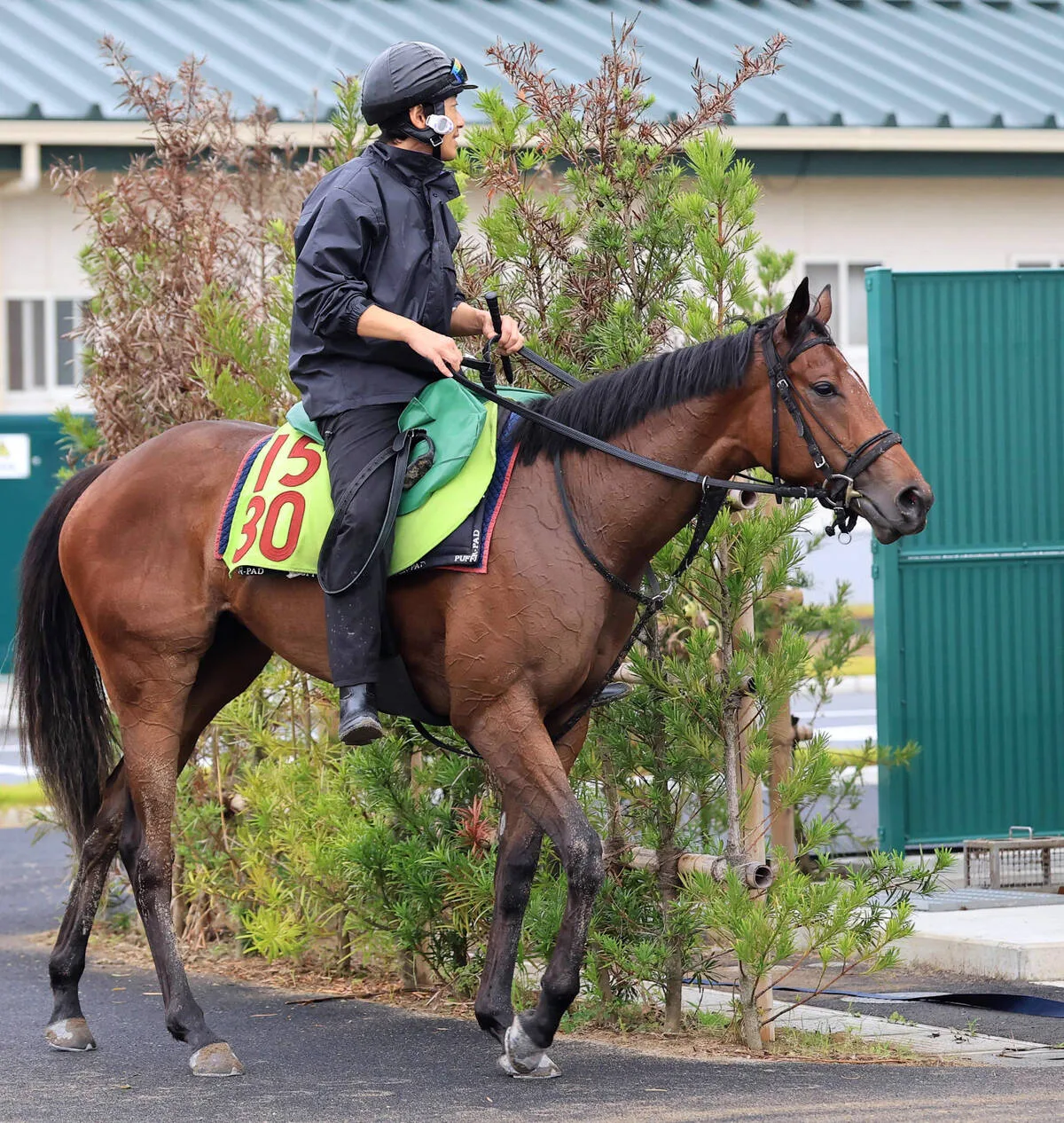 シャンデヴァーグ、新潟2歳Sで連勝なるか　末脚33秒4の衝撃