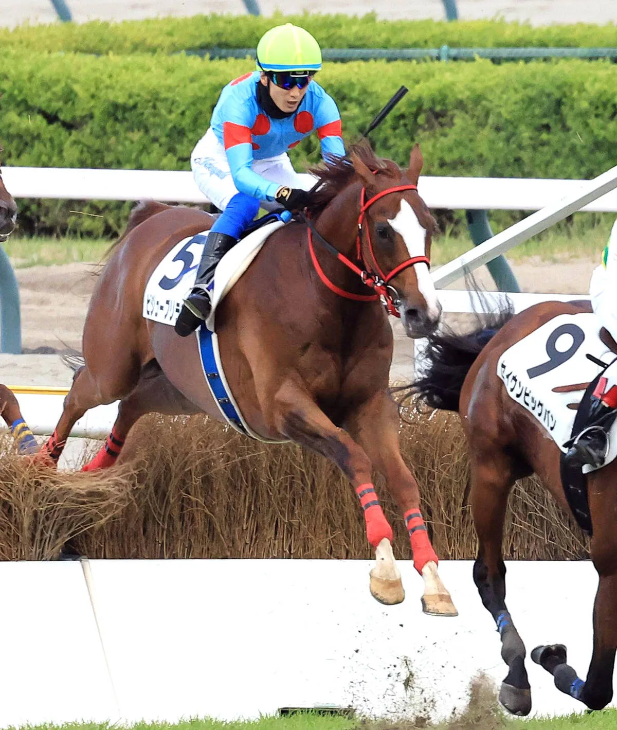 坂口智康騎手、浅利師と涙のコンビ初V！助手から異例転身の苦労実る