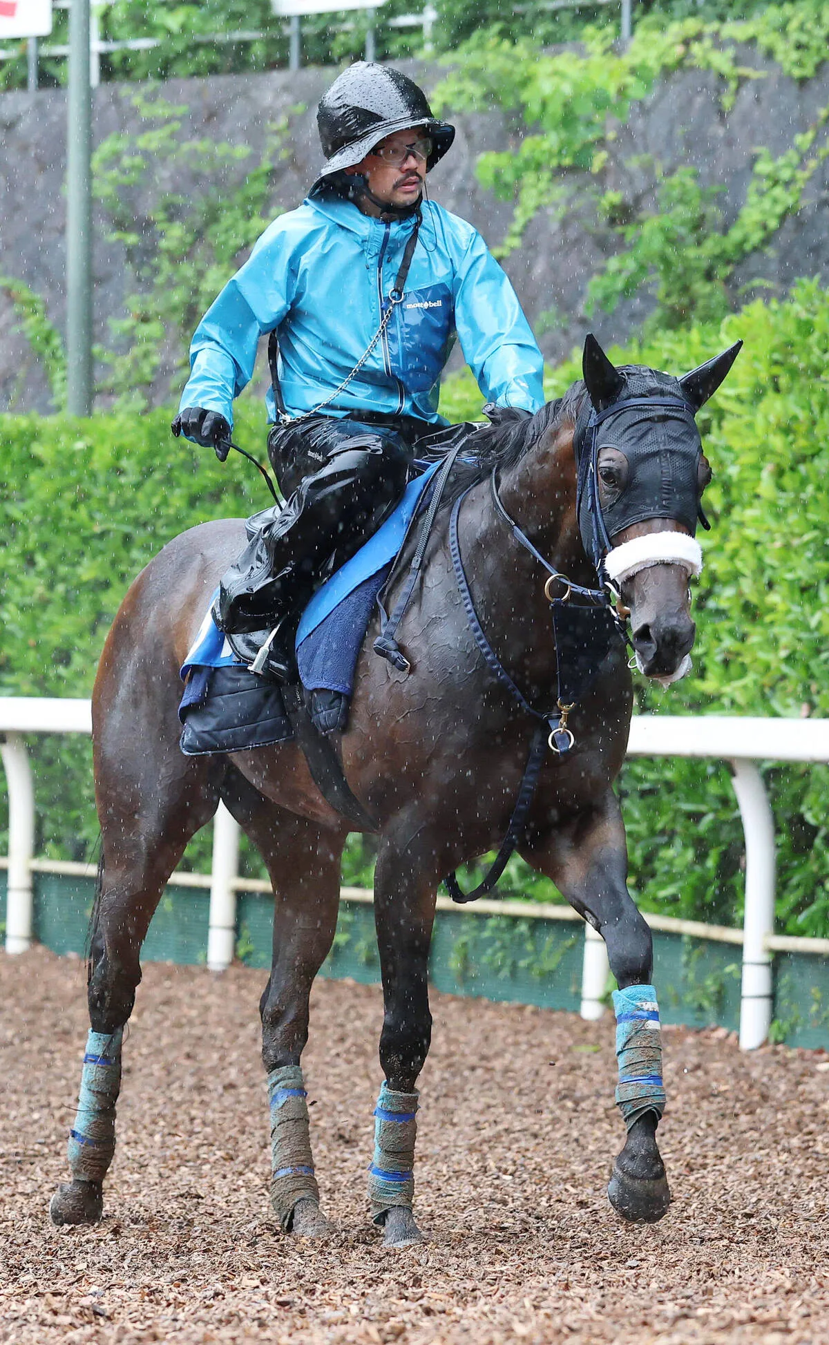 【新潟7R・NST賞】コンクイスタが左回りで巻き返し！秋の飛躍へ賞金加算なるか