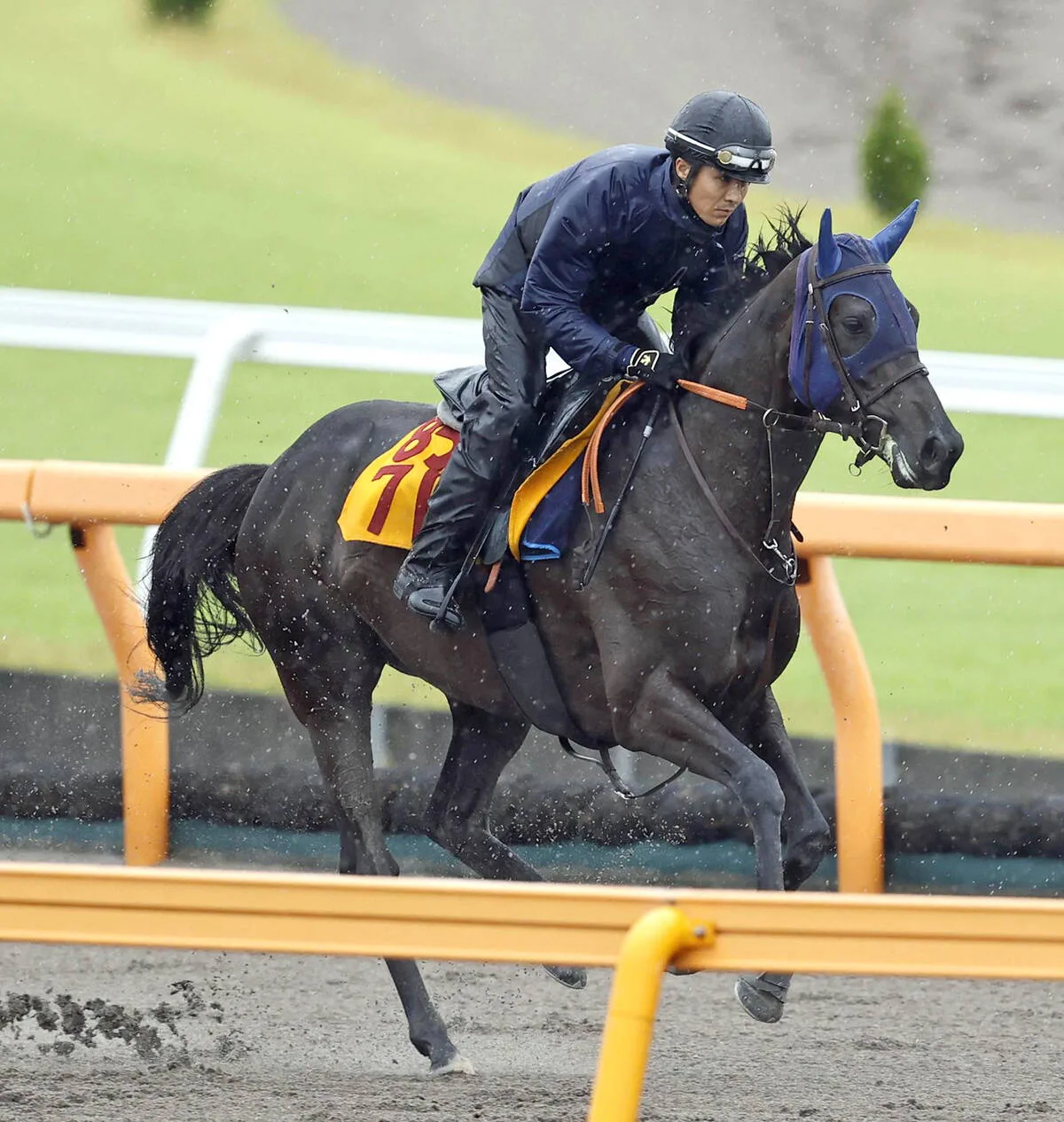 【競馬】ヴァルキリーバース、京成杯AHでリベンジなるか